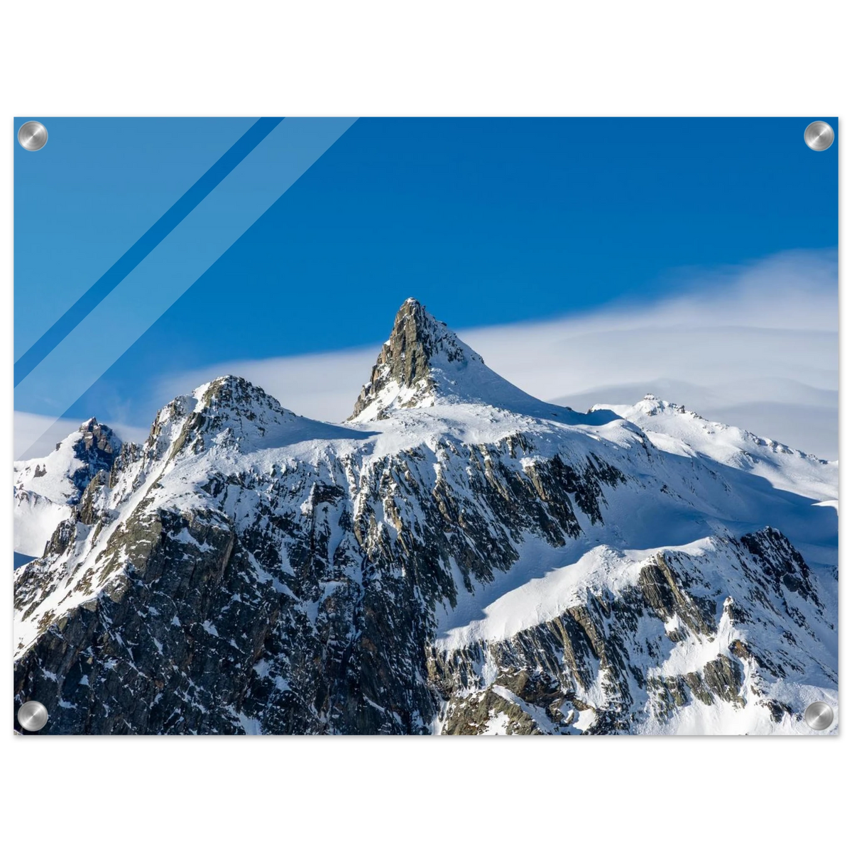 76d00261-d4c3-4c74-966b-66713d908d2d
