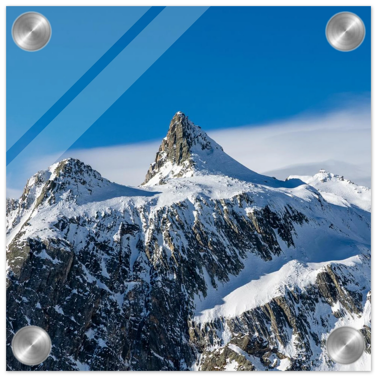 7c0ee719-e73c-47f3-ae41-f538cb9dba16
