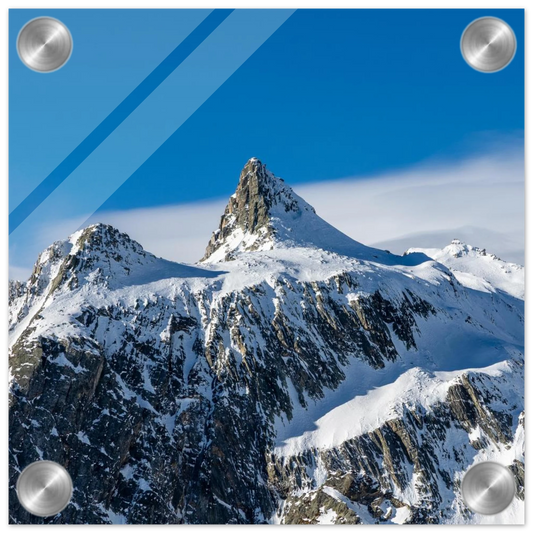 7c0ee719-e73c-47f3-ae41-f538cb9dba16